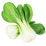 Bok Choy