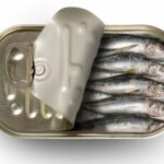 Sardines